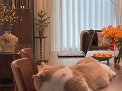 -住范儿家装·整体家装·装修设计