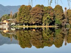 -云南滇池花园国际大酒店温泉