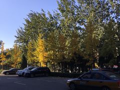 -北京临空智选假日酒店