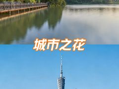 -海珠湖公园