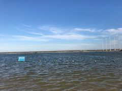-碧海金沙