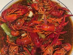 -杨氏青龙虾·羊蝎子(托乐嘉店)