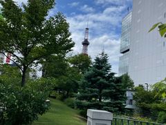-札幌电视塔