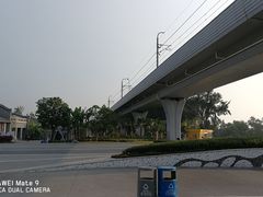 -宝安西湾红树林湿地公园