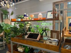 -芳香乐府疗愈空间·SPA·冥想