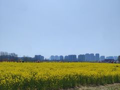 -西海岸生态观光园