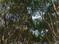 -永和大王(巨峰路店)