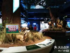 -扬州科技馆
