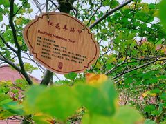 -粤剧艺术博物馆
