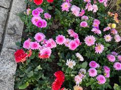 -崇圣寺三塔文化旅游区