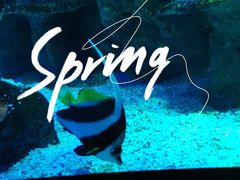 -沈阳海洋探索中心