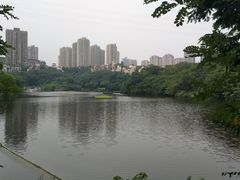 -重庆彩云湖湿地公园