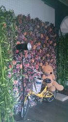 DSC_0527-麦莎MA3A摄影工作室(美兰金邸店)