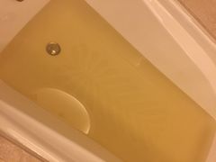 香山国际大酒店-苏州香山国际大酒店