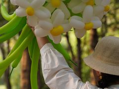 -蜀冈西峰生态公园