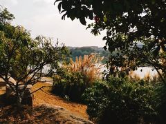 -羊山湖公园