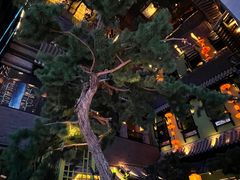 -桂满陇天书(南京德基旗舰店)