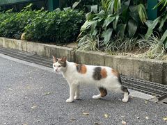 -晓港公园