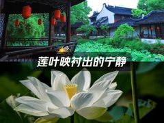 -上海醉白池公园