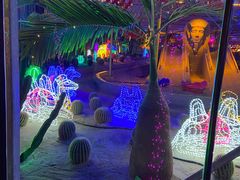 -南宫五洲植物乐园