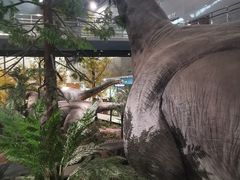 -湖南省地质博物馆