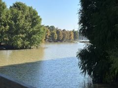 -上海海湾国家森林公园