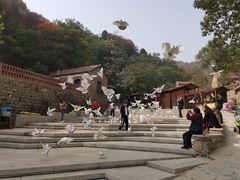-武汉姚家山旅游景区