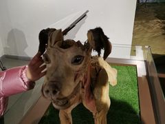 -昆山招商花园城