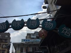 门面-猫咪博物馆(顶澳仔猫街店)