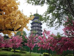 -洋湖国家湿地公园