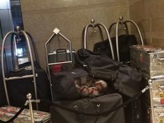 -北京千禧大酒店