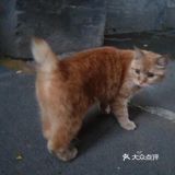 确认过眼神~我的白[糖果]