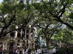 -星巴克臻选(广州沙面店)