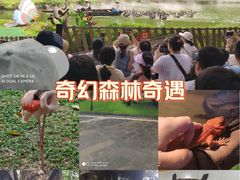 -广州长隆飞鸟乐园