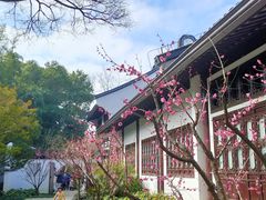 -上海醉白池公园