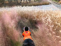 -永定河休闲森林公园