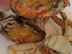 -鲤鱼洲酒店港鲤咖啡厅
