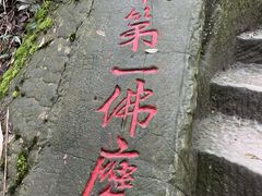 -大金鹰园