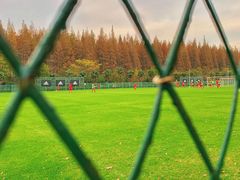 -上海根宝足球基地售票处