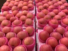 -海吉星国际农产品物流管理有限公司