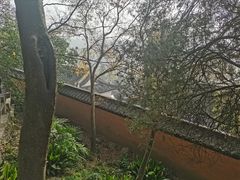 -狼山风景名胜区