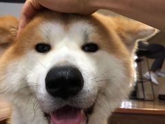 -YCHL Studios健身工作室(市二宫店)