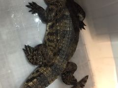 -丰卓会海鲜自助(中润大道店)