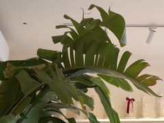 -秀儿家の小确幸花园西餐厅