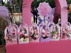-广州长隆欢乐世界