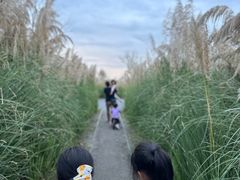 -中国天府农业博览园