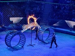 -俄罗斯国家大马戏团