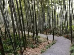 -山沟沟景区