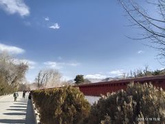 -罗布林卡
