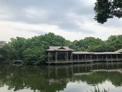 -西湖外事游船(花港观鱼码头)